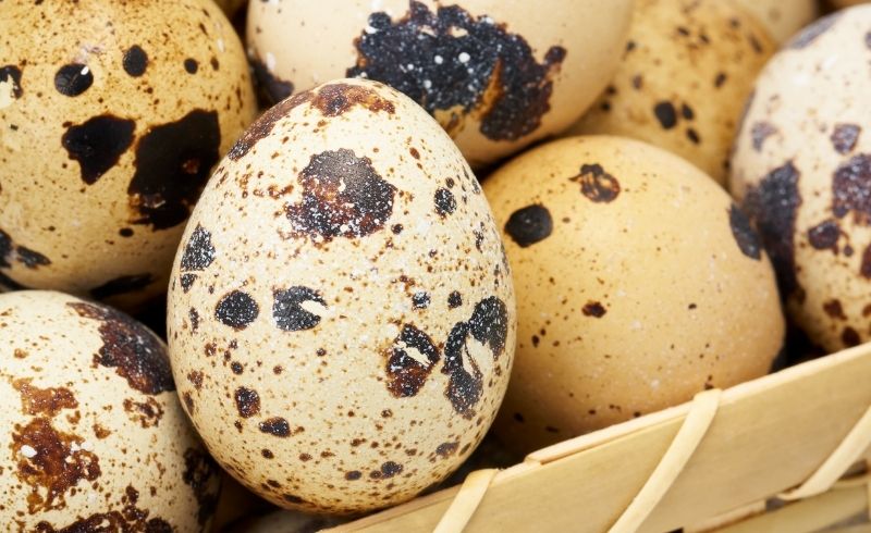 Comprehensive Nutritional Profile of Quail Eggs Comprehensive Nutritional Profile of Quail Eggs