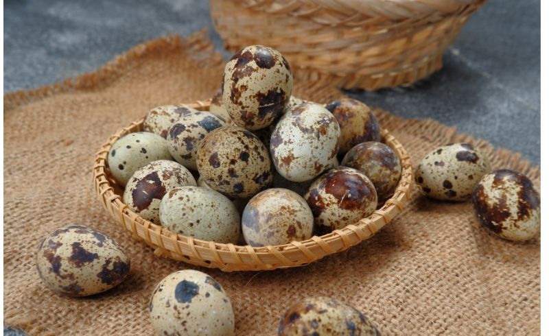 Health Benefits of Quail Eggs for people Health Benefits of Quail Eggs for people