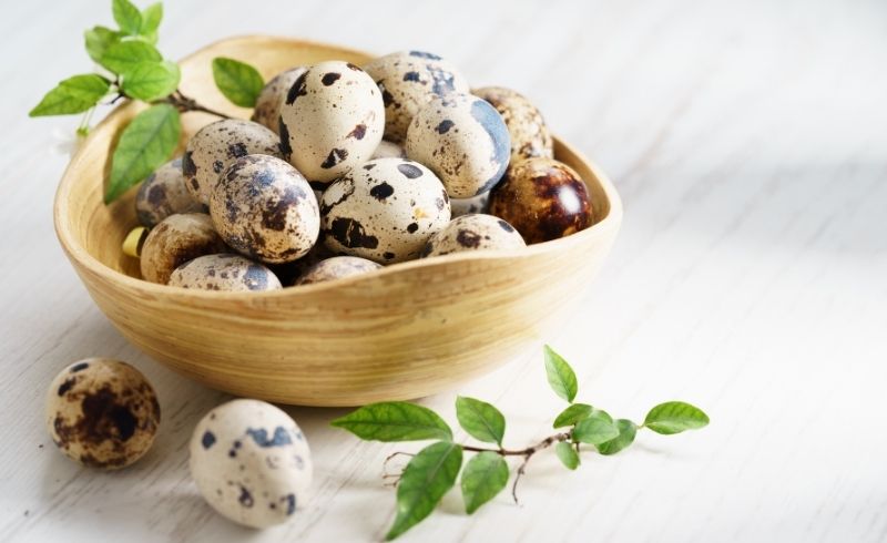 Quail Eggs Recipes & Cooking Tips Quail Eggs Recipes & Cooking Tips
