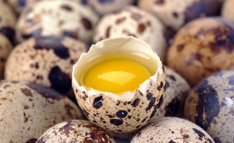 Quail Eggs The Superfood Egg