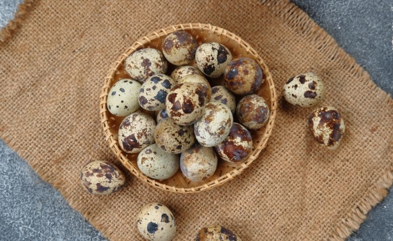 what are the Health Benefits of Quail Eggs for people what are the Health Benefits of Quail Eggs for people